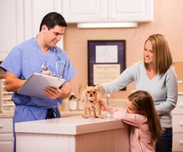 How Much Do You Make Being a Veterinarian: Real Salaries & Career Insights