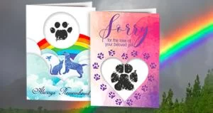 What to Write in a Veterinary Sympathy Card: Thoughtful Words That Matter