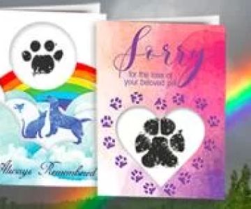 What to Write in a Veterinary Sympathy Card: Thoughtful Words That Matter