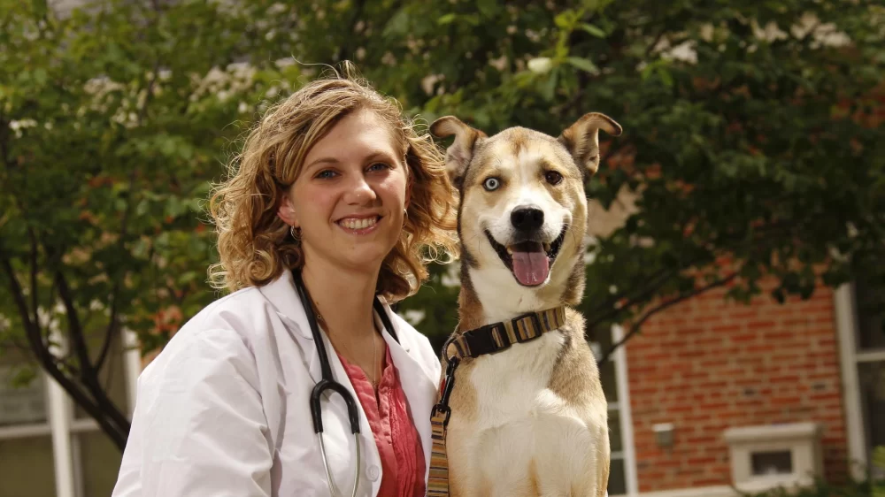 How Long Does It Take to Become a Veterinarian? Timeline & Real Path