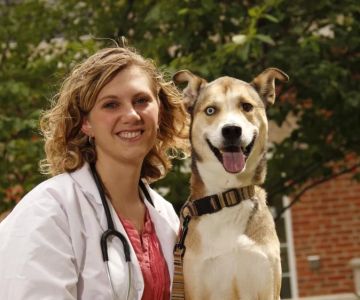 How Long Does It Take to Become a Veterinarian? Timeline & Real Path