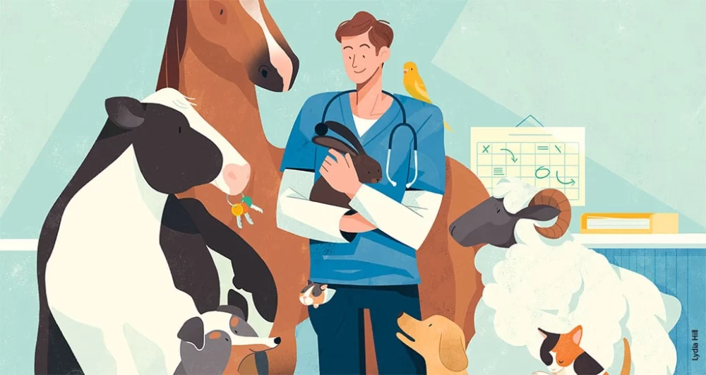 Who Can Own a Veterinary Practice? Understanding Ownership Rules and Opportunities