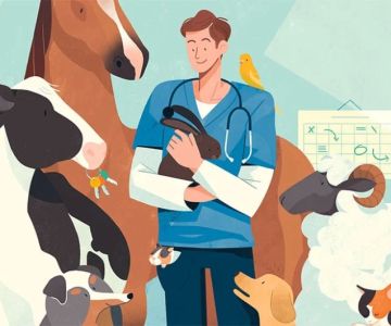 Who Can Own a Veterinary Practice? Understanding Ownership Rules and Opportunities