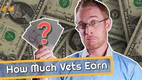 How Much Money Does a Veterinarian Make a Week? A Realistic Breakdown