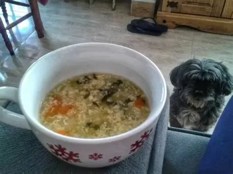 Can Dogs Eat Vegetable Broth? What Pet Owners Need to Know