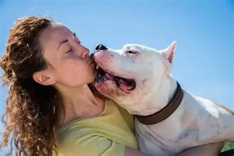 How Much Does a Veterinarian Make in a Month? Full Salary Breakdown & Insights