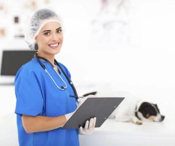 What Is the Average Pay for a Veterinary Assistant? Salary Insights & Career Tips