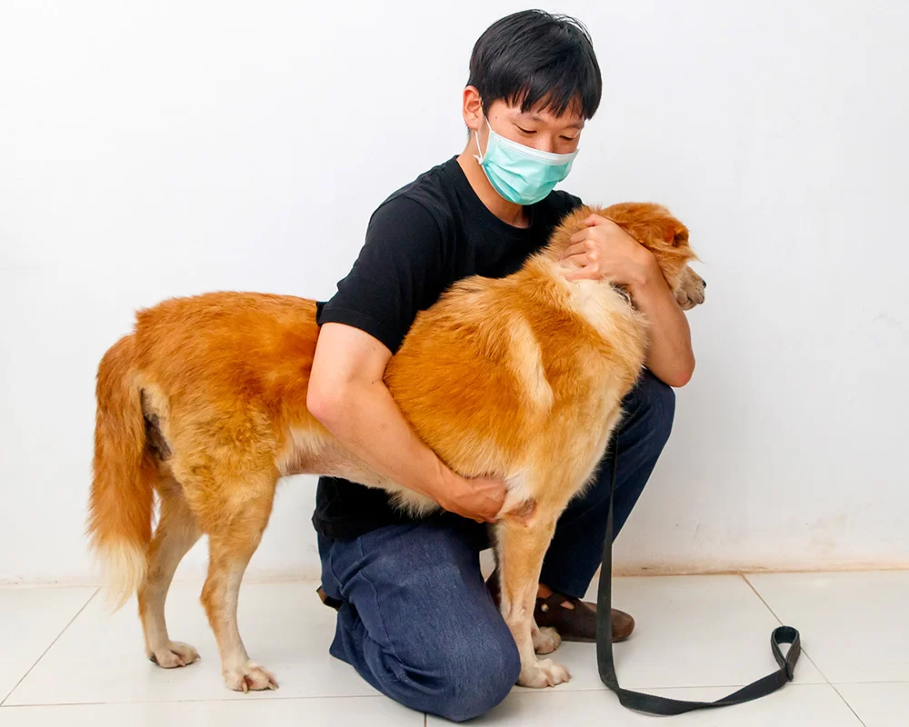 How to Pronounce Veterinary Correctly: A Clear Guide