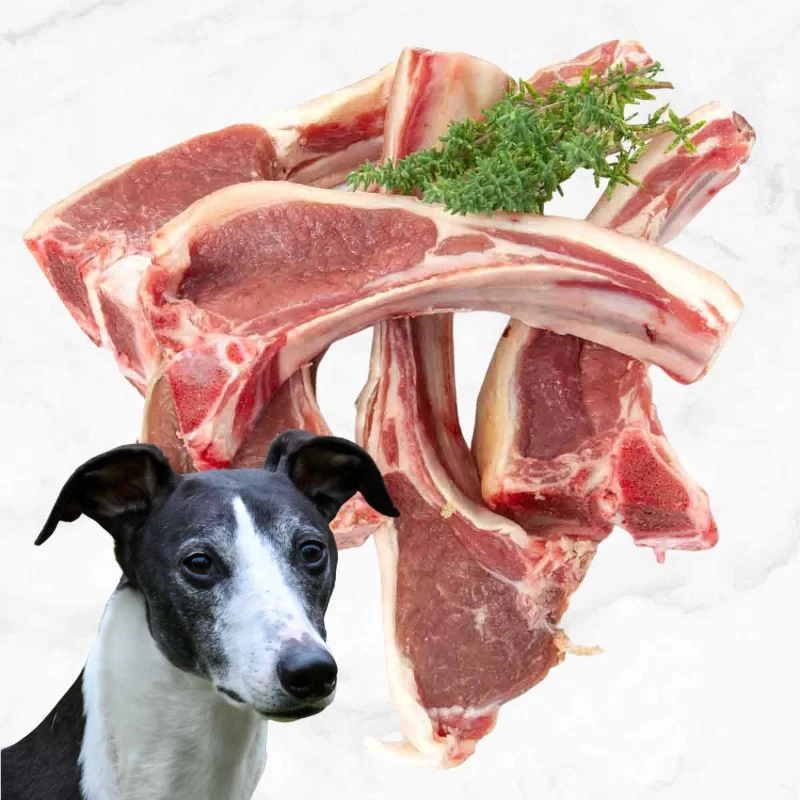 Can Dogs Eat Cooked Lamb? What Every Dog Owner Should Know