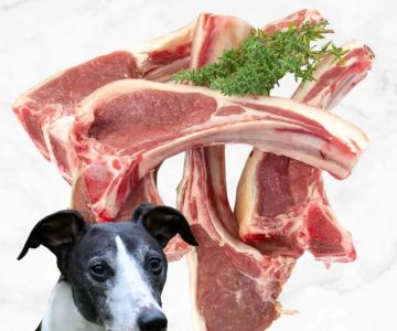 Can Dogs Eat Cooked Lamb? What Every Dog Owner Should Know