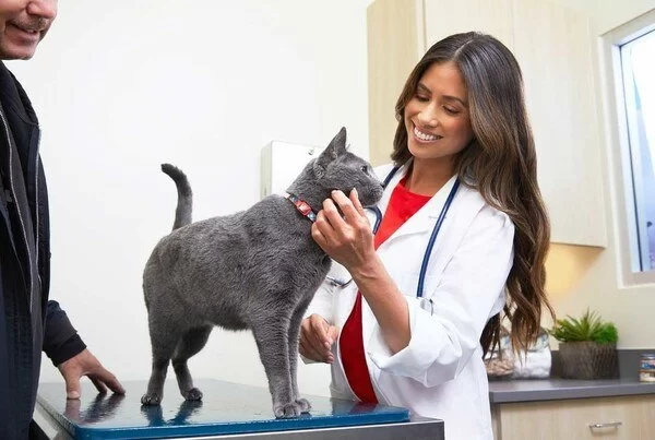 Does Petco Have a Veterinarian? Everything You Should Know