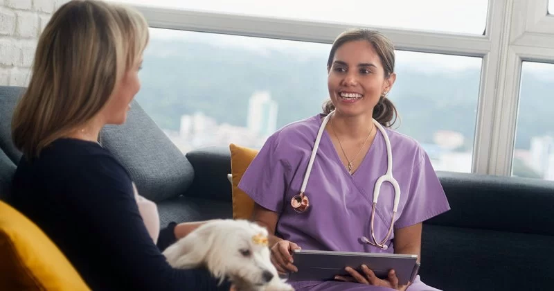 How to Thank a Veterinarian for Their Service in Meaningful Ways