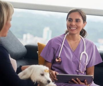 How to Thank a Veterinarian for Their Service in Meaningful Ways