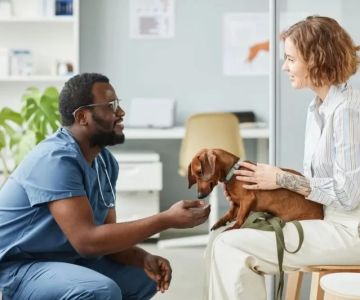 How to Become a Veterinarian: Step-by-Step Career Guide