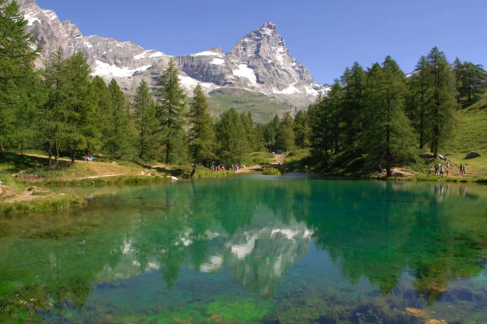 De Luca Veterinario Aosta: Trusted Veterinary Care in Valle d'Aosta