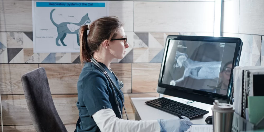 What Does Veterinary Do? Exploring the Role and Responsibilities of Veterinarians