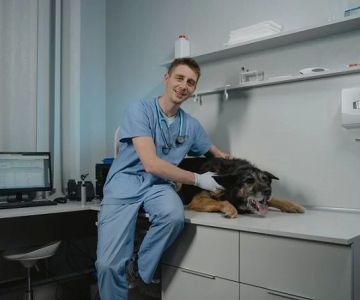 How Do I Sell My Veterinary Practice? Expert Insights, Steps & Real-World Advice