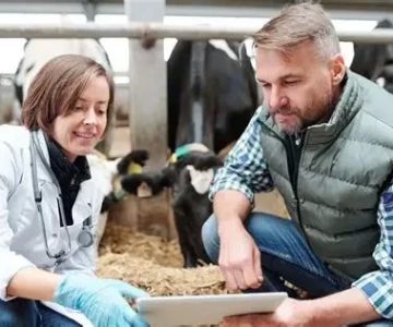 Should I Become a Veterinarian – Is Veterinary Medicine Right for You