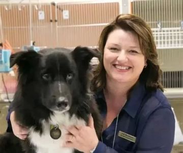 Para-Veterinarian Roles and Career Path: Essential Veterinary Support Explained