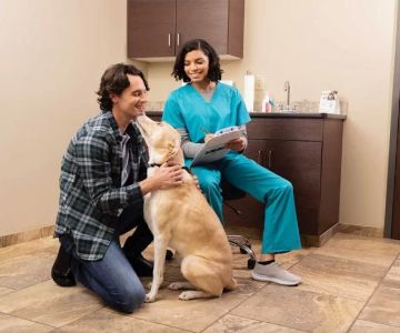 Who Owns NVA Veterinary? Exploring the Ownership of National Veterinary Associates