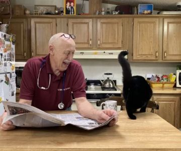 Is POL Veterinary Clinic Still Open? Latest Updates on Hours and Services