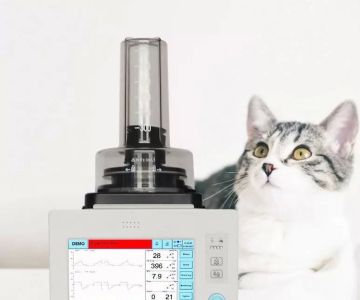 How to Use a Veterinary Ventilator: A Step-by-Step Guide for Effective Animal Care