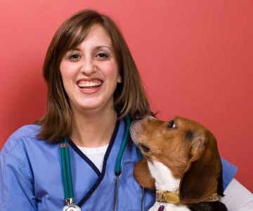 How to Become a Relief Veterinary Technician: Step-by-Step Guide and Career Insights