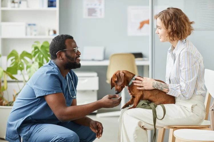 What Does a Veterinary Social Worker Do? Roles and Insights