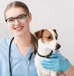 What Is a Veterinarian Annual Salary? Insights into Earnings and Career Potential