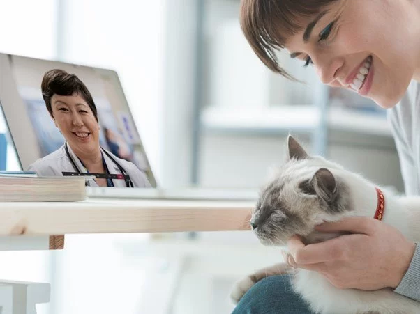 Is Ask a Veterinarian Online Legit? What You Should Know Before Trusting a Click