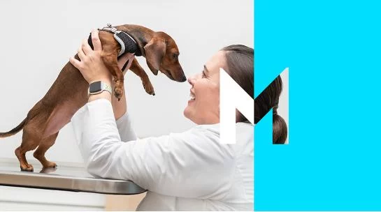Who Owns Mars Veterinary Health? Uncovering Mars Inc’s Role in Pet Care