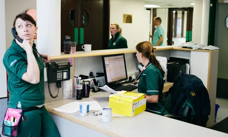 Why Is There a Veterinarian Shortage? Exploring Causes and Solutions