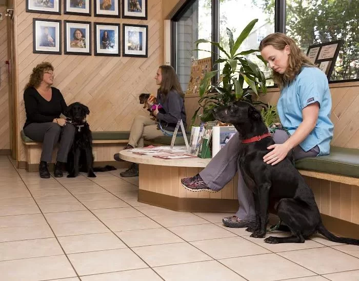 Which Highers Are Needed for Veterinary Science? A Comprehensive Guide