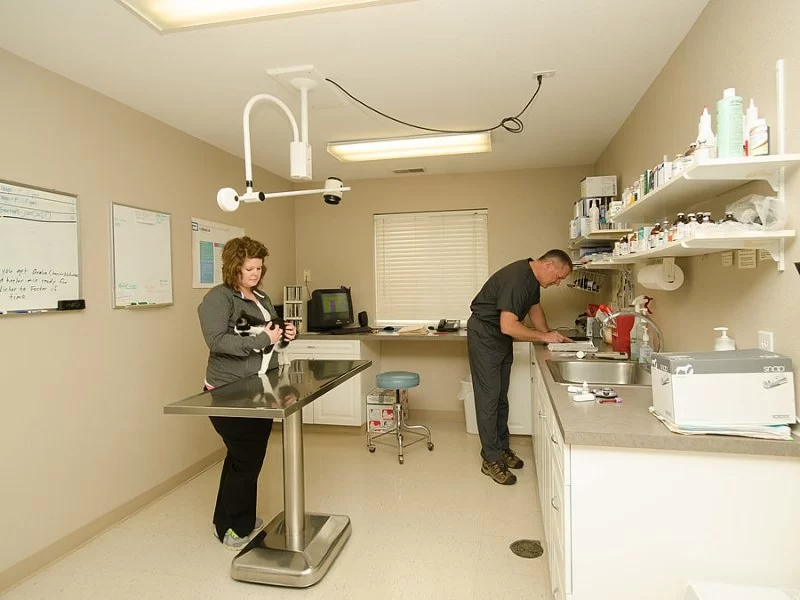 A-70 Veterinary Hospital: Expert Pet Care You Can Trust