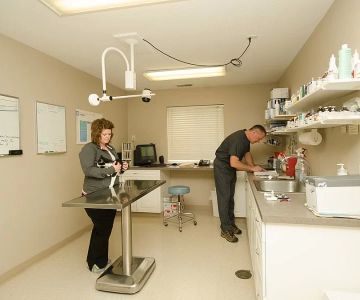 A-70 Veterinary Hospital: Expert Pet Care You Can Trust