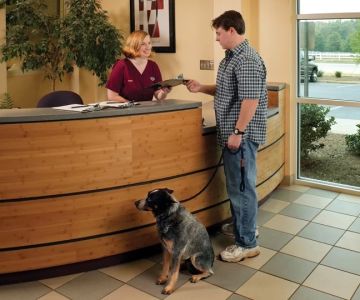 How to Start a Veterinary Practice – From Idea to Grand Opening