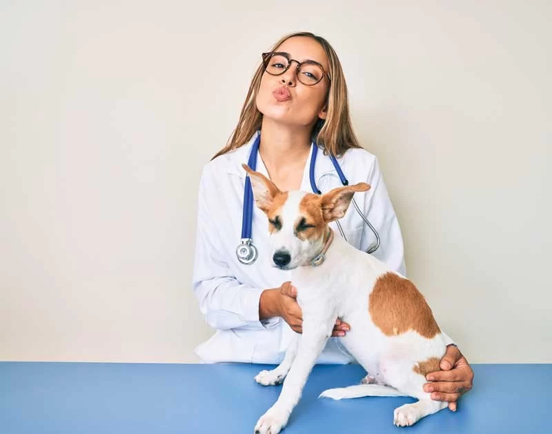 How to Dress Up Like a Veterinarian – Authentic & Fun Ideas