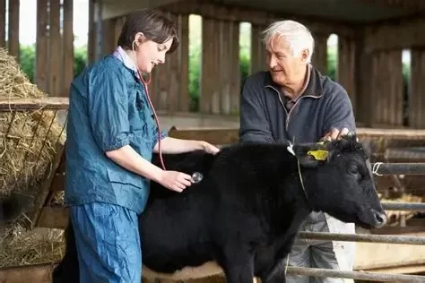 Is Travel Involved for a Veterinarian? What to Expect and Career Insights