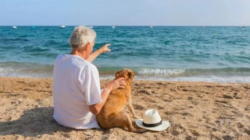Vet Advice: What Every Pet Parent Should Know About Kidney Disease in Dogs Explained Simply