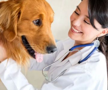 What Is the Entry Level Salary for a Veterinarian in the U.S.?