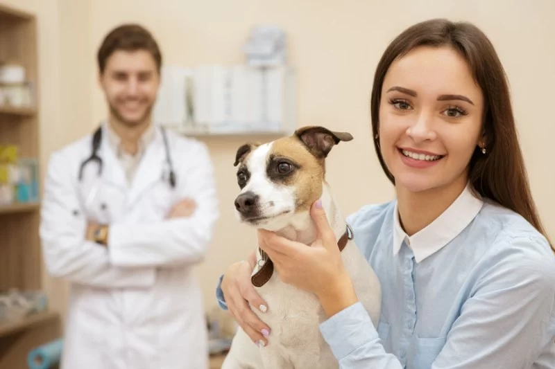 What Is Included in a Full-Service Veterinary Visit? That Could Save Your Pet's Life
