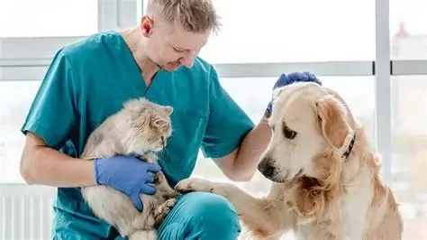 How to Log and Share Pet Health Data with Your Veterinarian