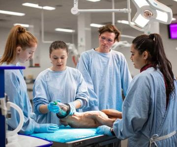 Is Animal Science the Same as Veterinary Science? Which University Has the Best Veterinary Program?