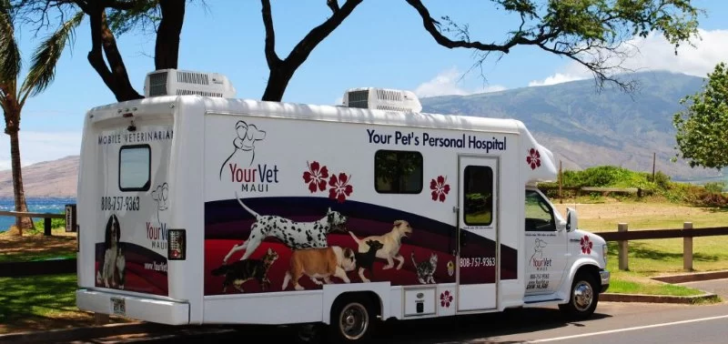 What Are Mobile Veterinary Clinics and Are They Worth It? You Shouldn't Ignore
