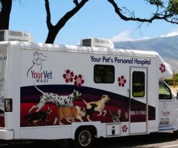 What Are Mobile Veterinary Clinics and Are They Worth It? You Shouldn't Ignore
