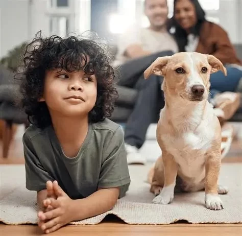 Pet Insurance in 2025: What You Need to Know Before Buying a Plan and What It Means