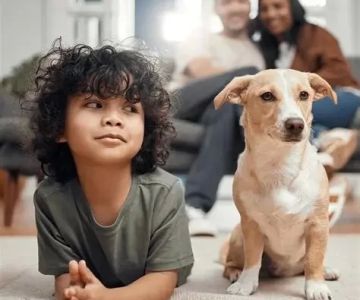 Pet Insurance in 2025: What You Need to Know Before Buying a Plan and What It Means