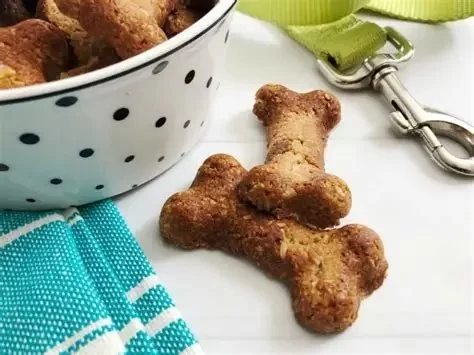 Can Dogs Eat Homemade Dog Treats? Safe Ingredients and Tips Every Pet Owner Should Know