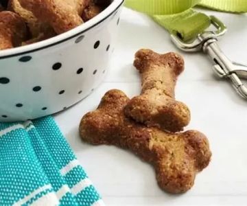 Can Dogs Eat Homemade Dog Treats? Safe Ingredients and Tips Every Pet Owner Should Know