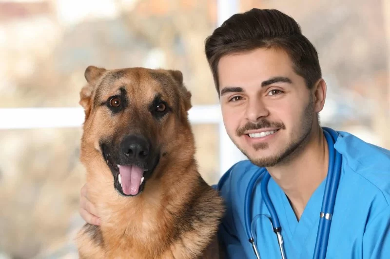 What Is the Starting Salary for a Veterinary Assistant and How to Maximize It
